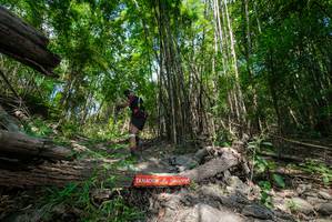 BIB: 
                            <button type="button" onclick="openModal(19393953)" class="btn btn-primary btn-sm float-right btn-popup" data-toggle="modal" data-target=".modal-high-quality">
                        <i class="fas fa-shopping-cart"></i> Add to Cart
                    </button>
                                            <button type="button" onclick="isThisMe(19393953, true)" class="btn btn-success btn-sm float-right btn-popup btn-isme hidden" data-toggle="tooltip" data-placement="bottom" title="นี่คือรูปของคุณใช่ไหม คลิกที่นี่เพื่อเอาเข้าอัลบั้ม">
                        <i class="fas fa-plus"></i> Add to album
                    </button>
                    <button type="button" onclick="isThisMe(19393953, false)" class="btn btn-warning btn-sm float-right btn-popup btn-isnotme hidden">
                        <i class="fas fa-ban"></i> Remove from album
                    </button>